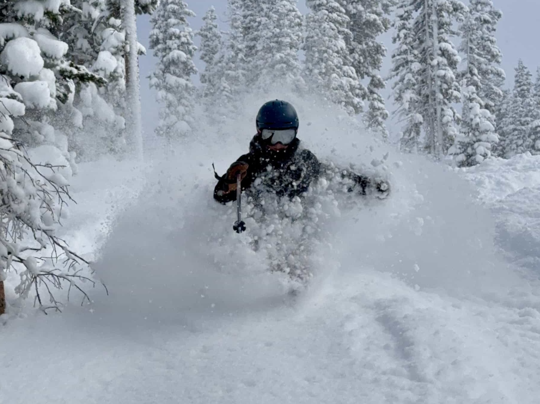 winter park powder