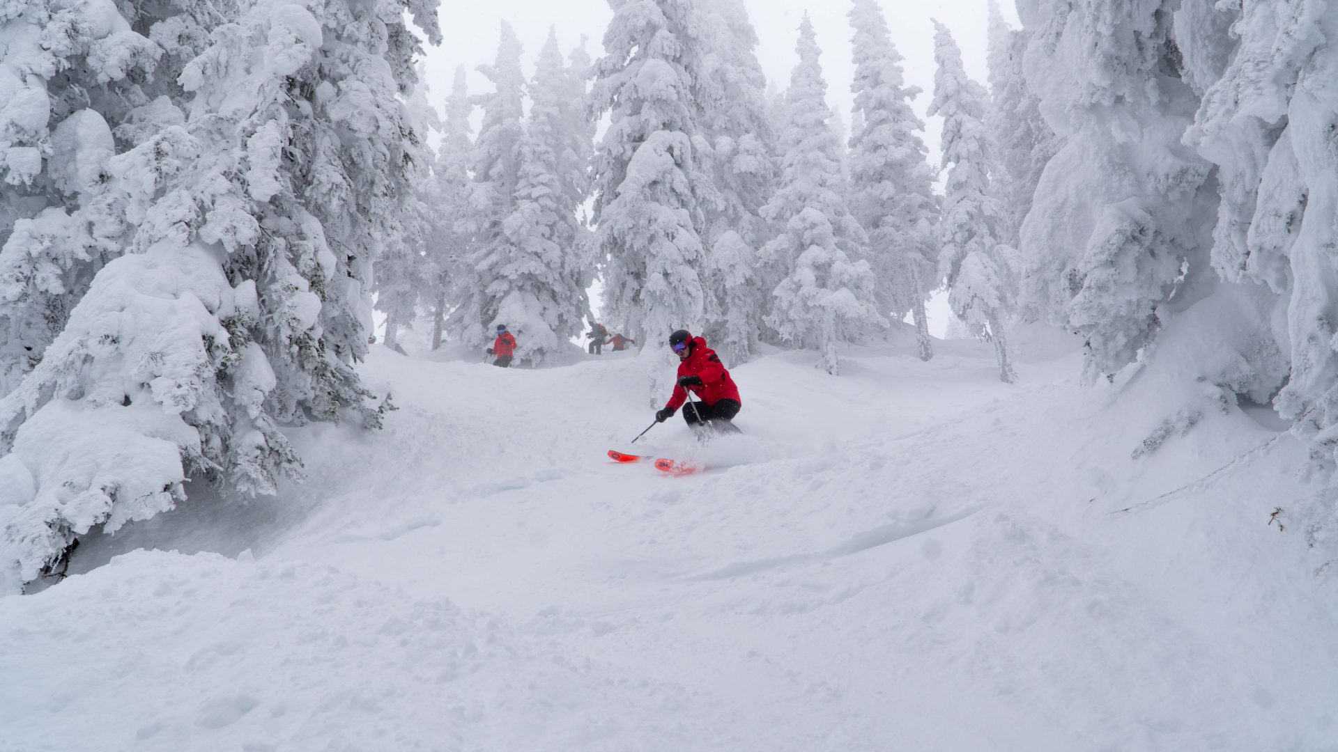 Steamboat Christmas Tree Bowl