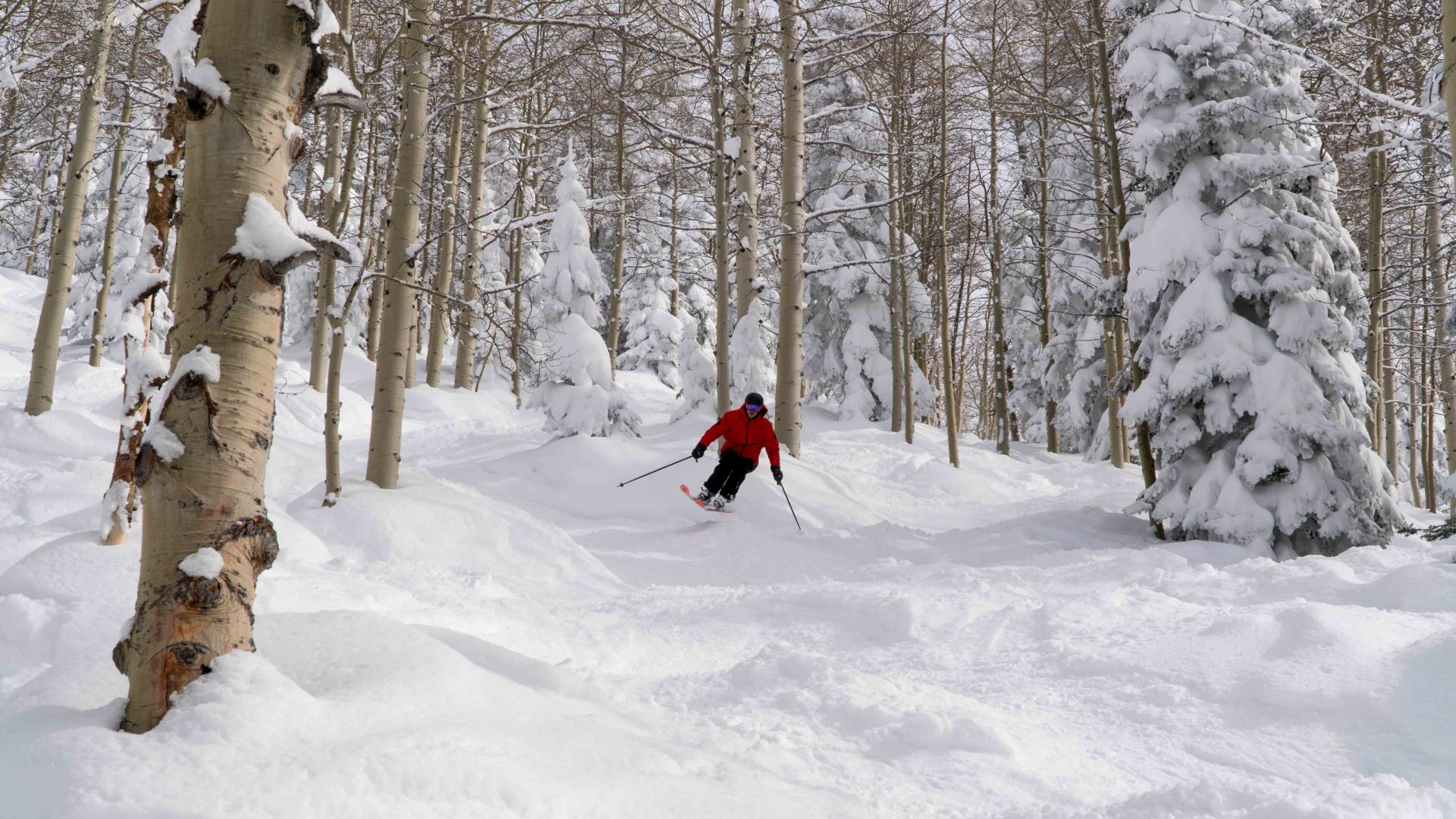 Steamboat Twilight Glades 2