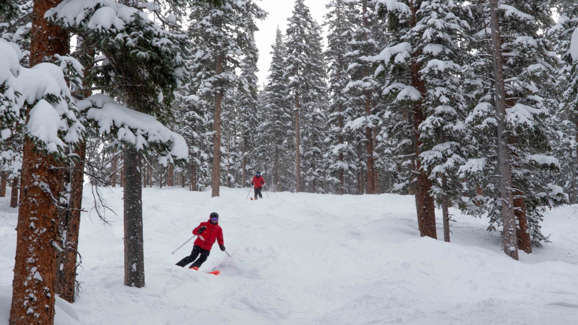 Eagle Wind Glades
