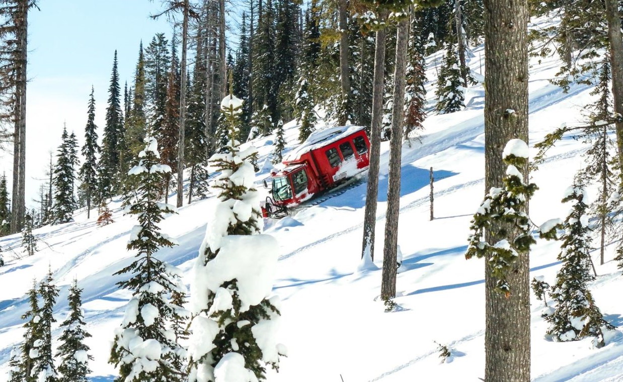 cat skiing montana