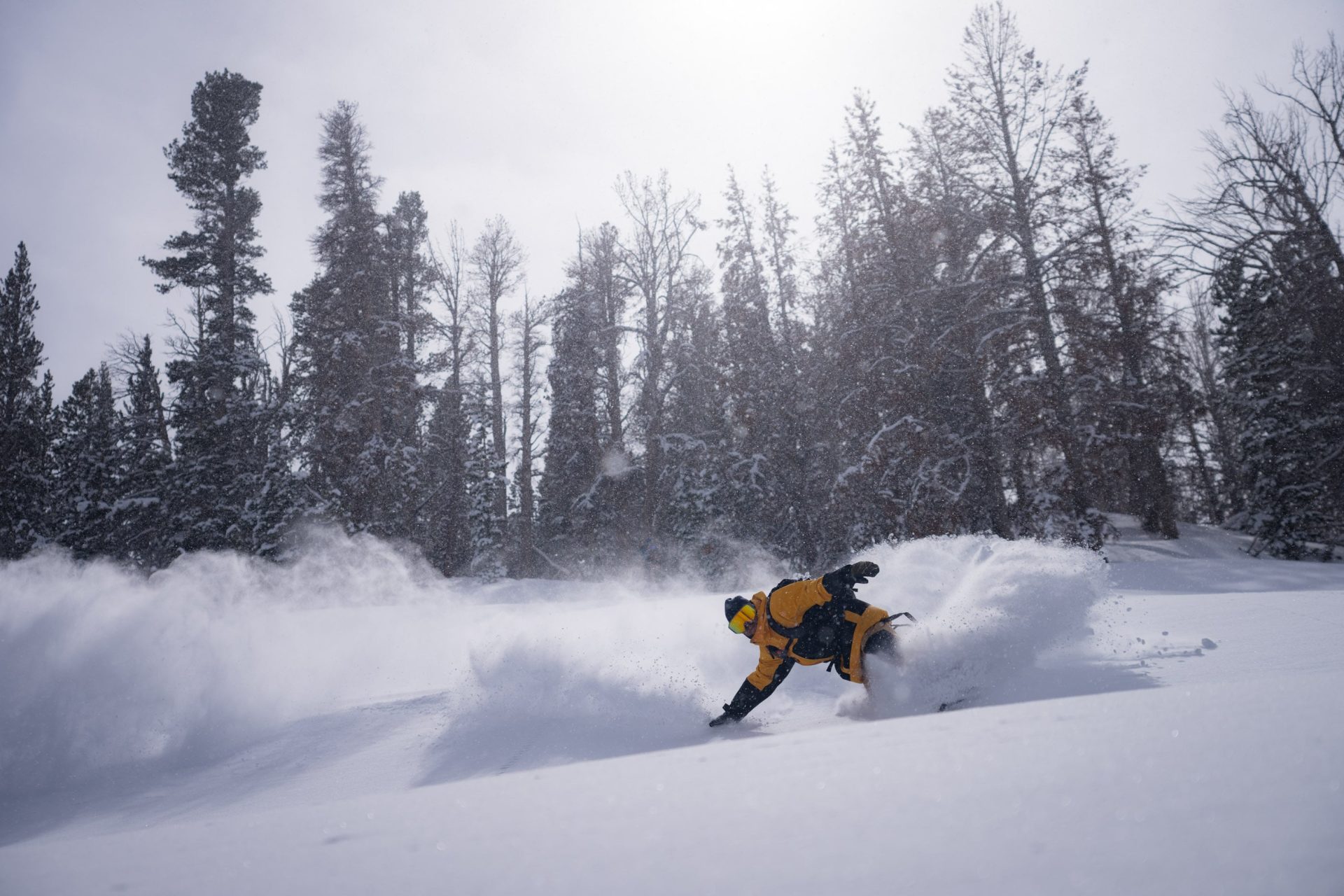 Ski Mono County
