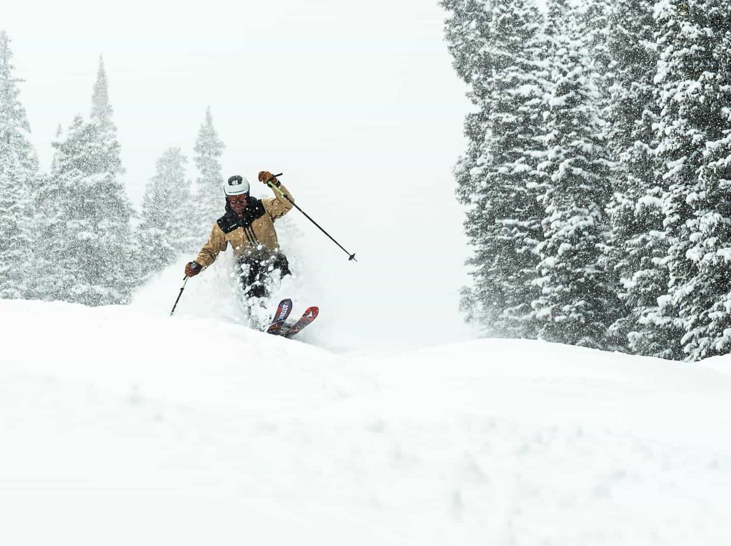 Fresh tracks and deep snow at Copper Mountain this March. | Photo: Copper Mountain Facebook