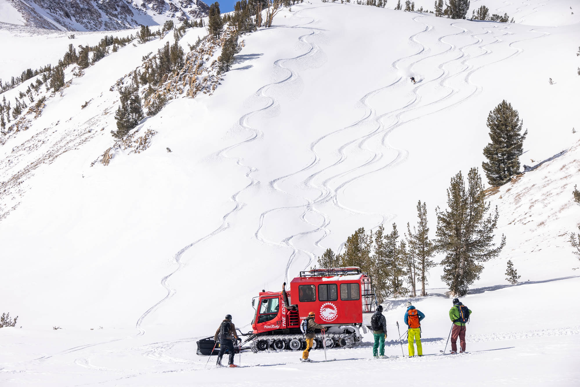 Cat Ski Mono County