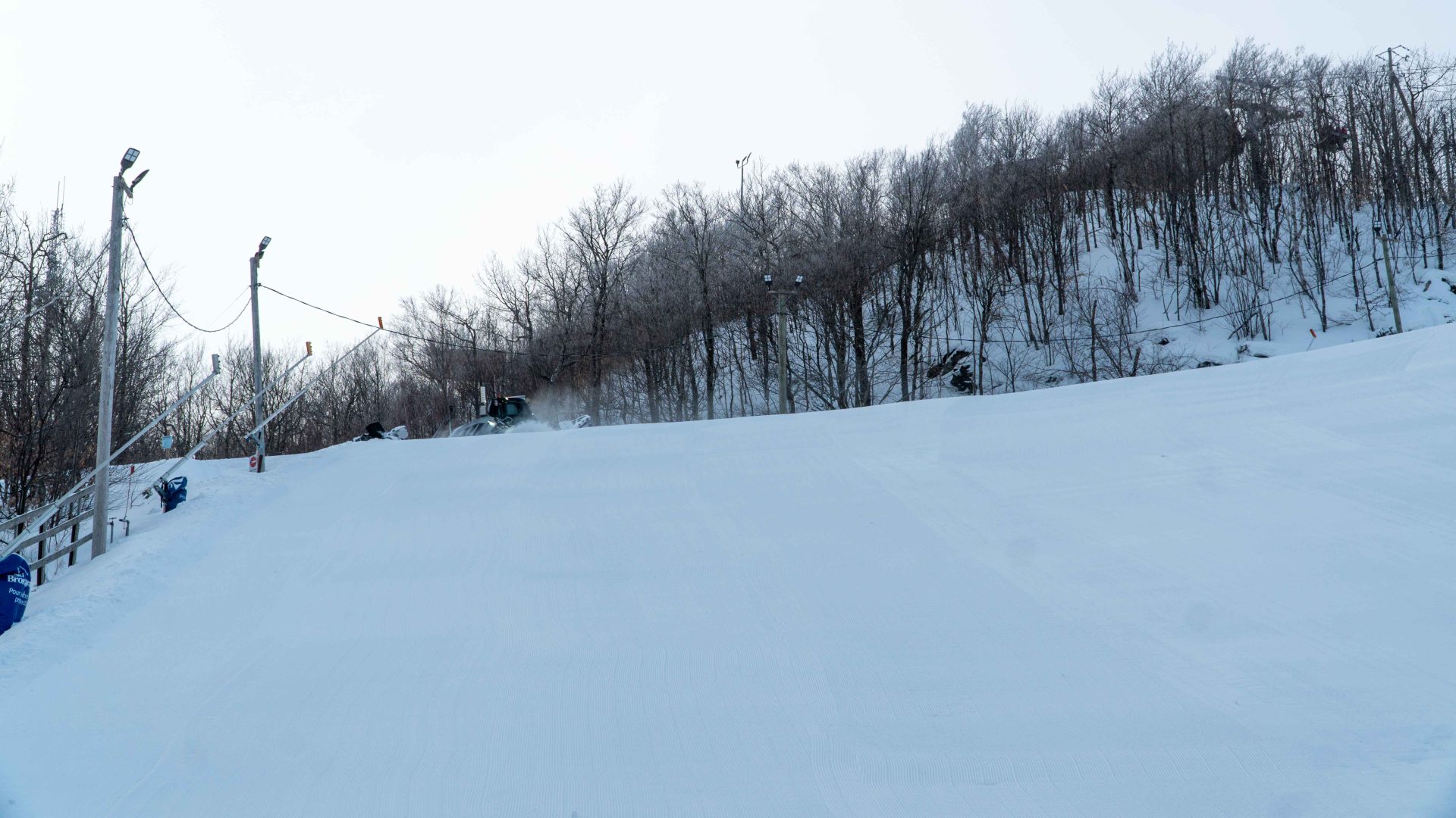 Bromont Regrooming