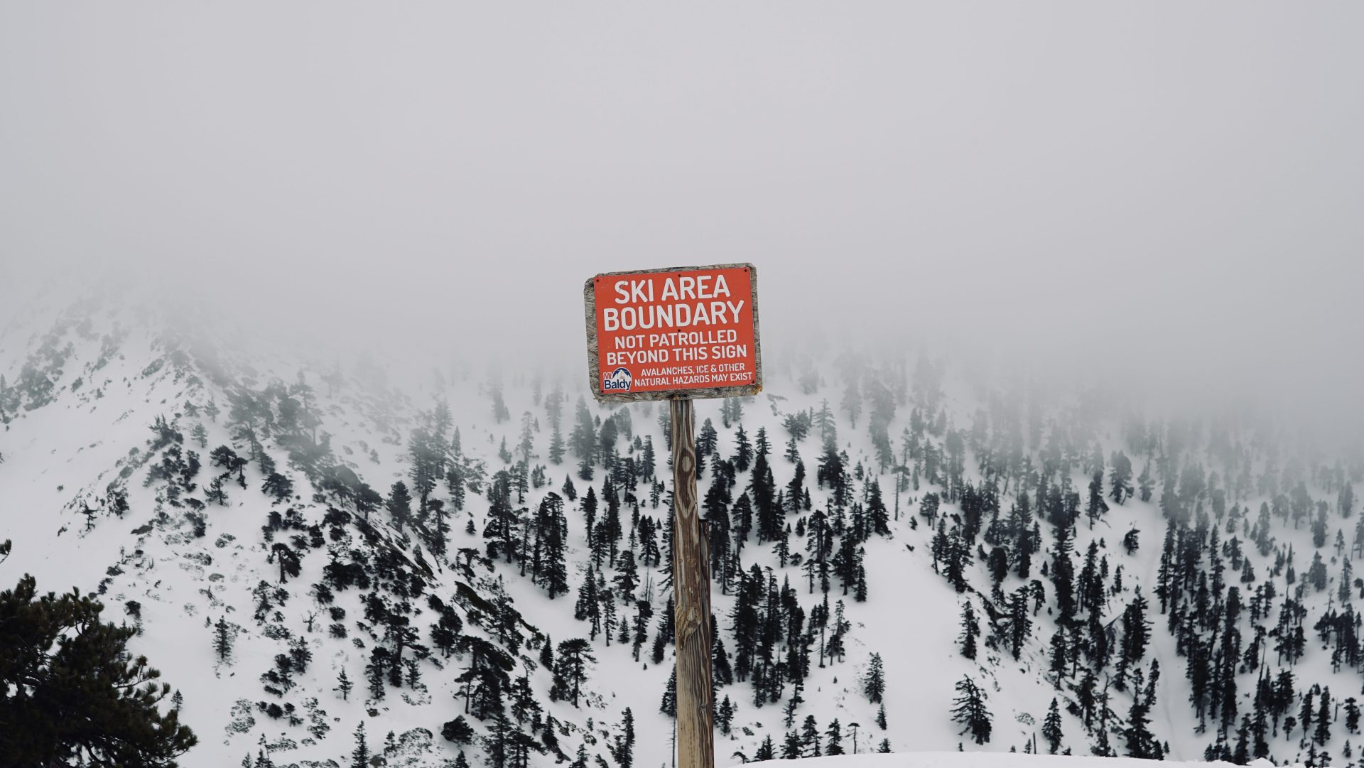 Tree skiing is plentiful at Mt Baldy