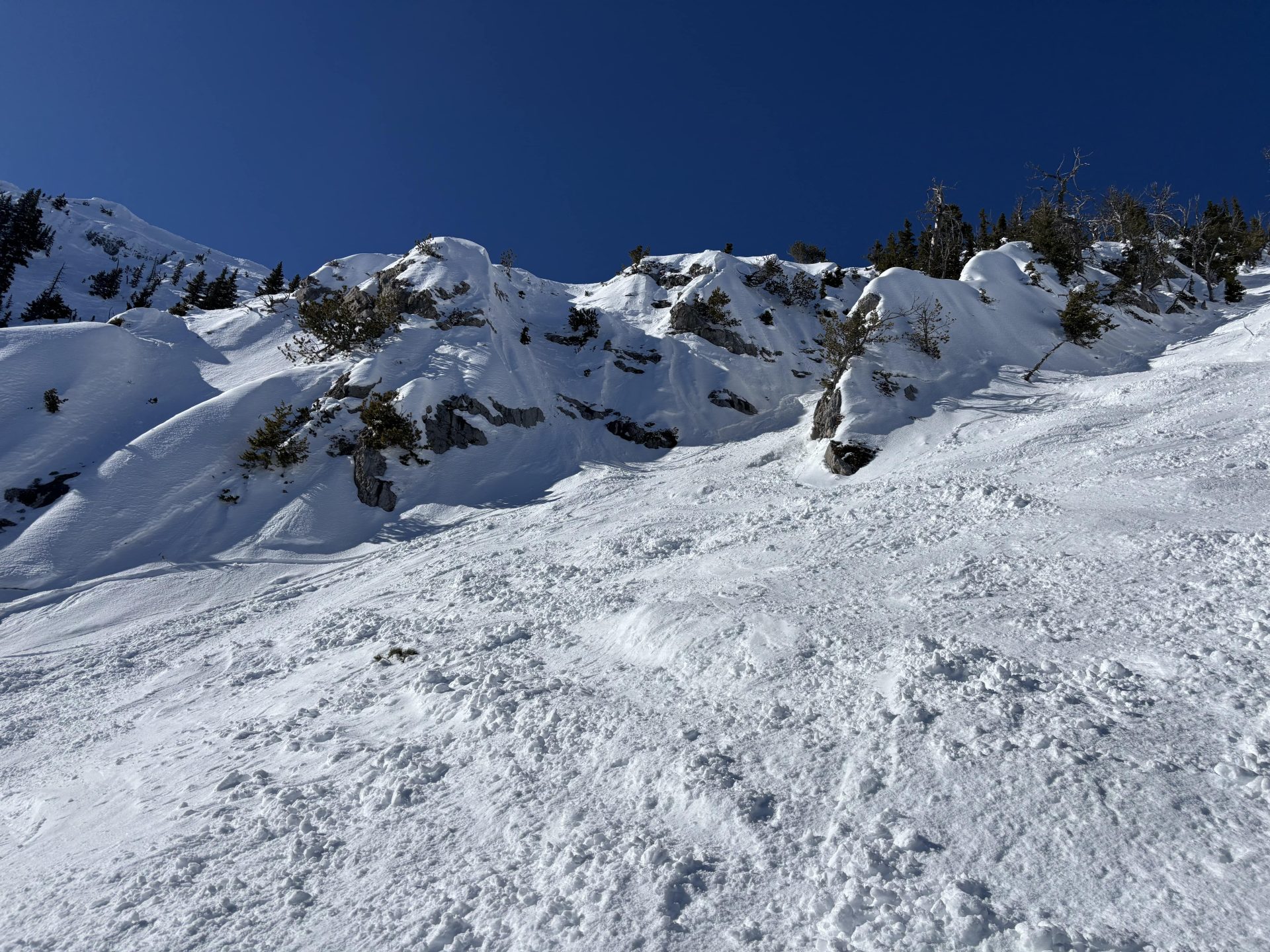 bridger bowl gnarly terrain 