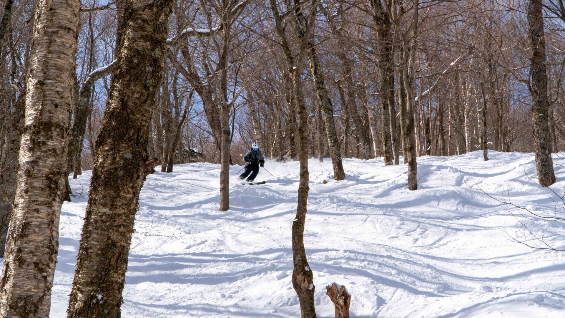 Jay Peak Lower Timbuktu