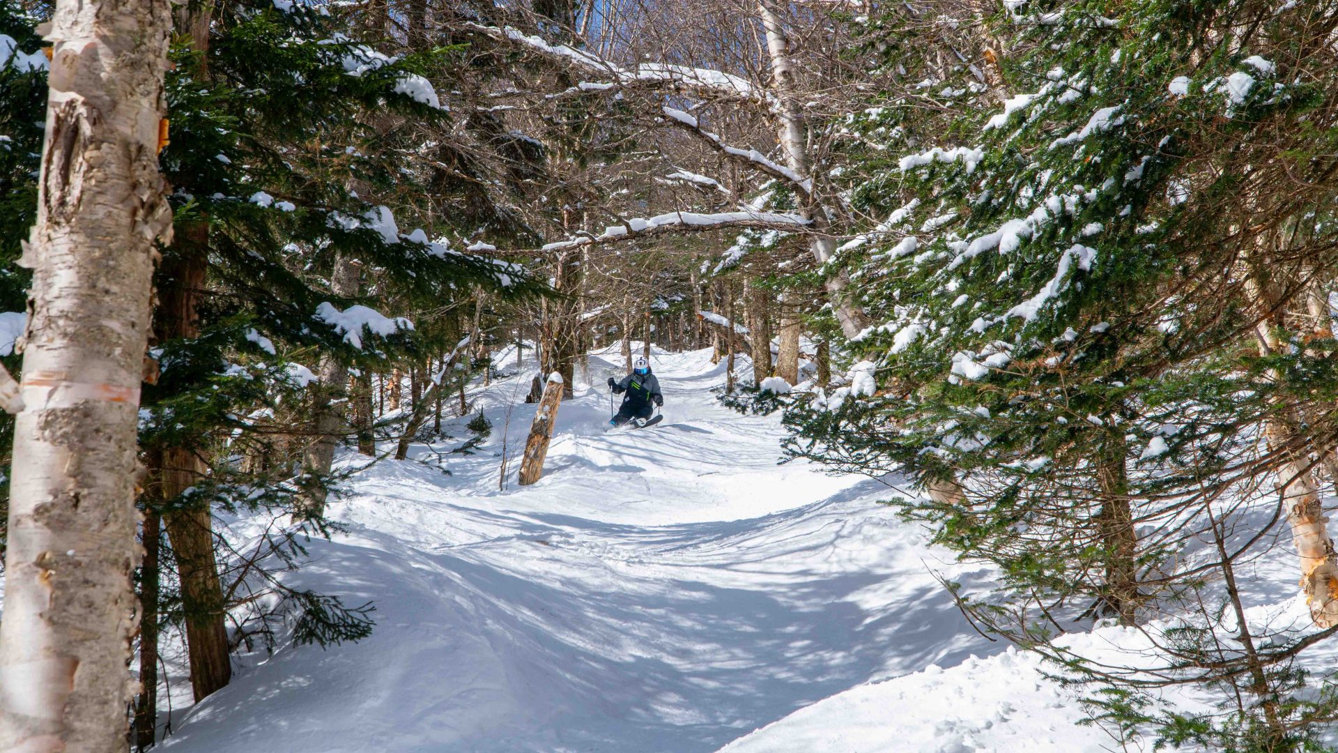 Jay Peak Timbuktu