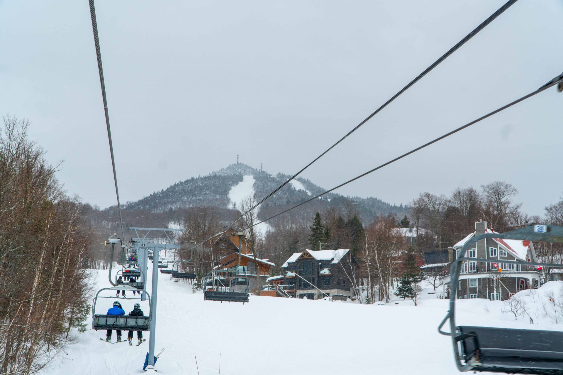 Owl's Head Panorama Chair