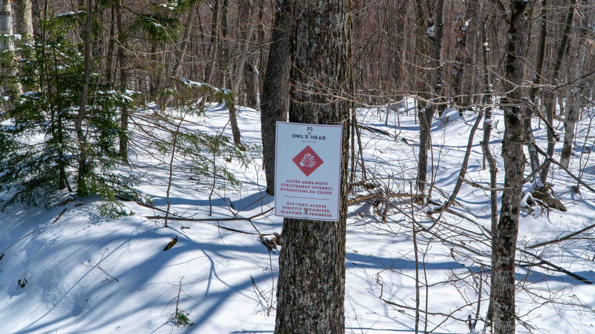 Owl's Head Sign