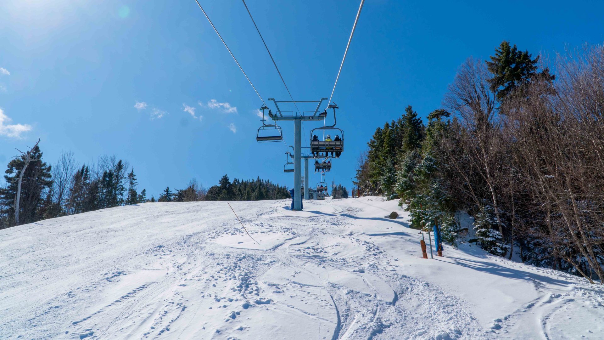 Owl's Head Summit Chair