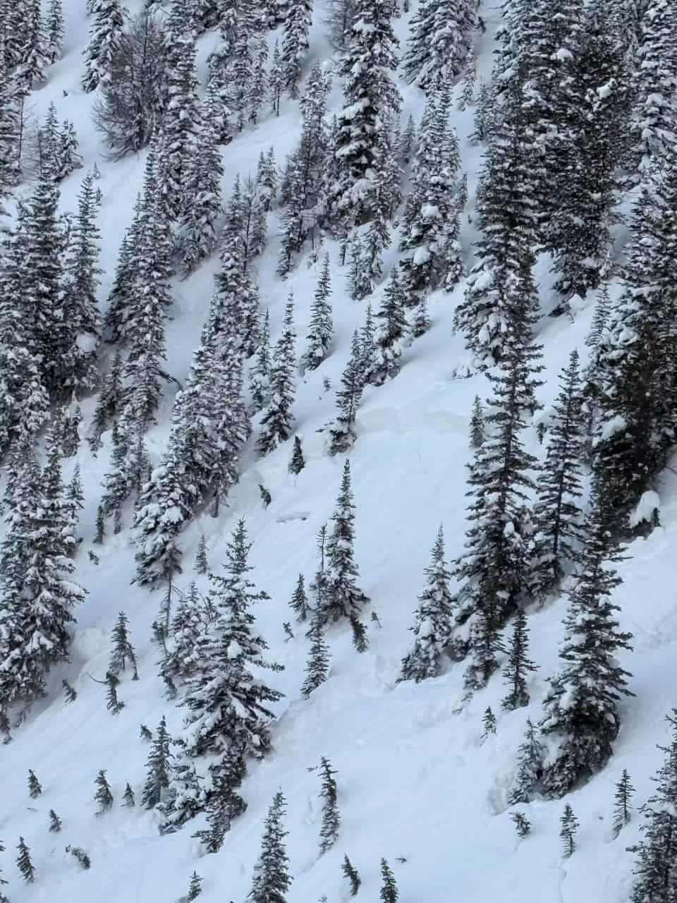One of two alberta avalanches on Friday, March 14, 2025.