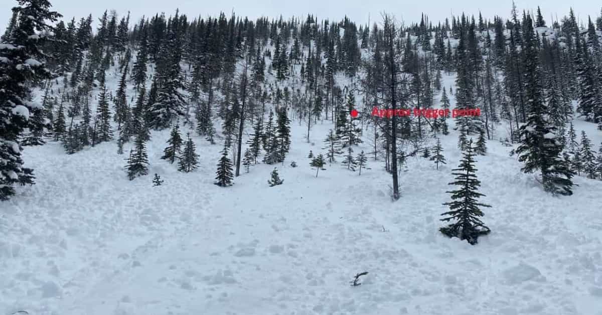 Photo of the Lake Louise avalanche with a red dot indicating the approximate trigger point. Notably, there are small to medium sized trees in the start zone and track. | Photo: Avalanche Canada