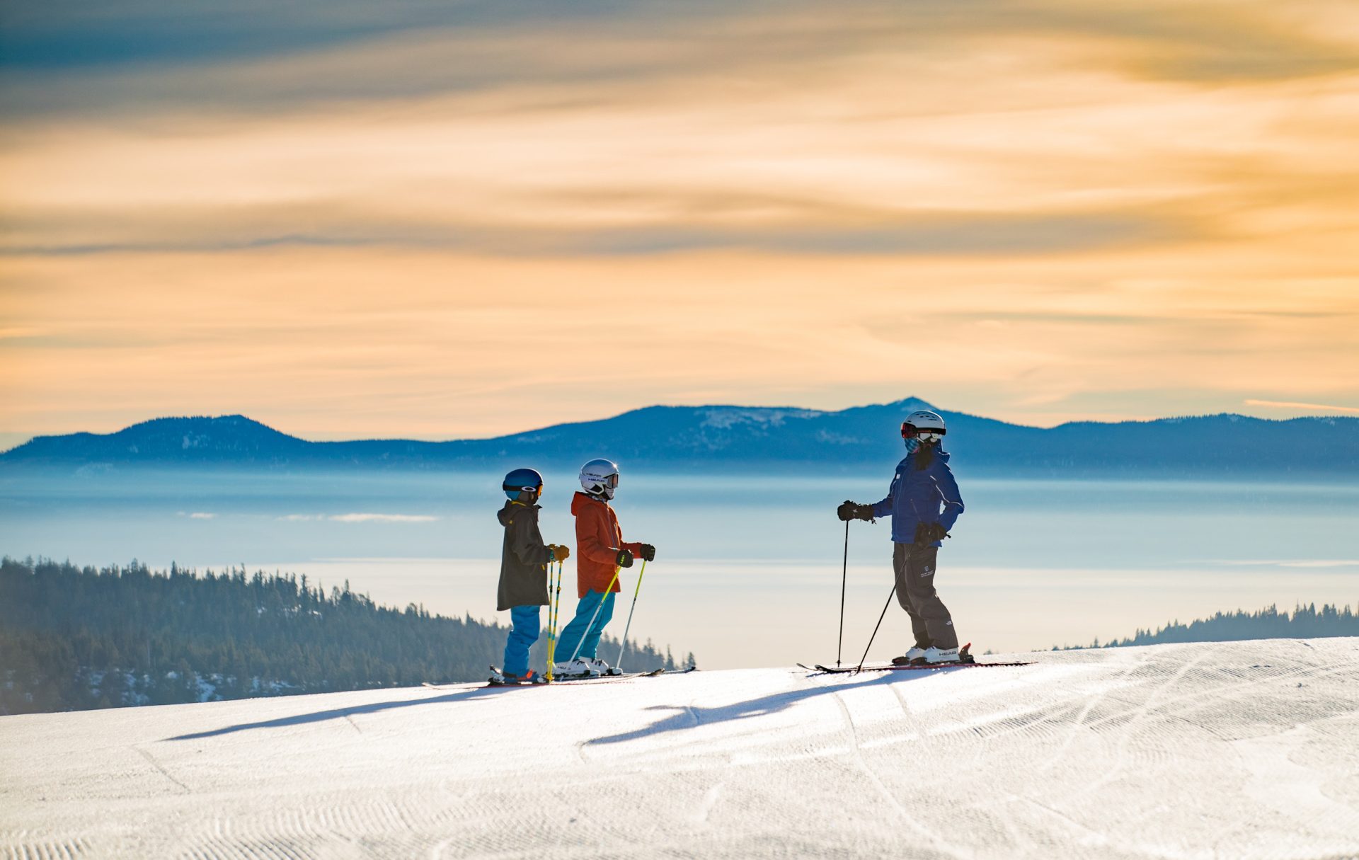alpine meadows 