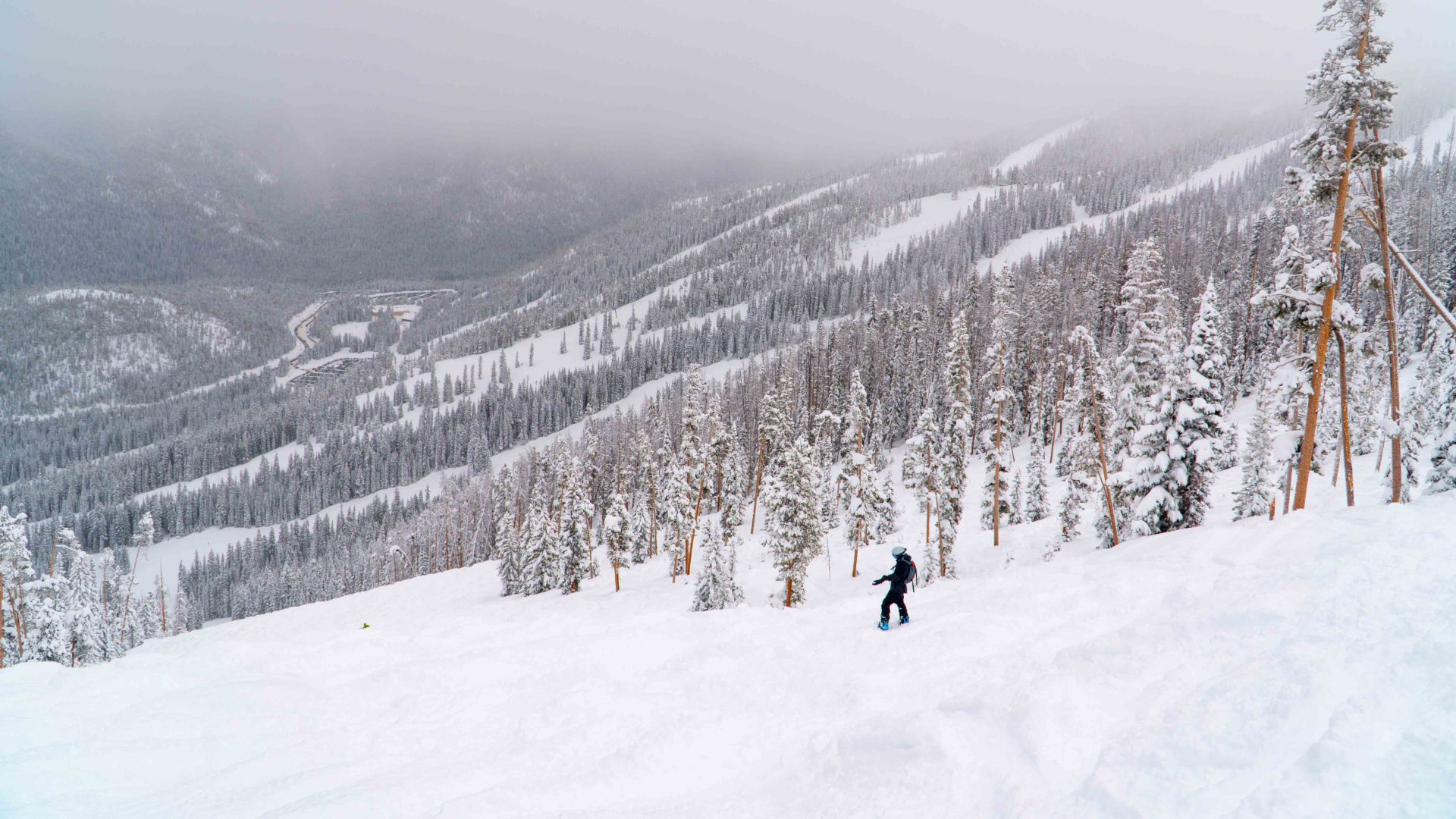Winter Park Outhouse Top
