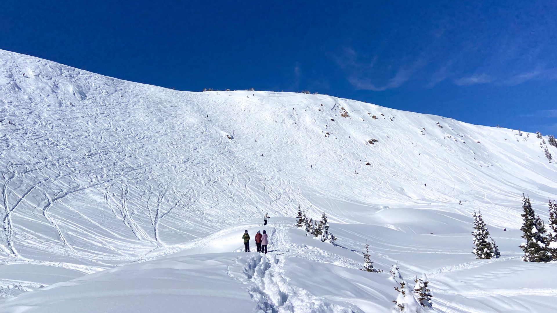 Winter Park The Cirque