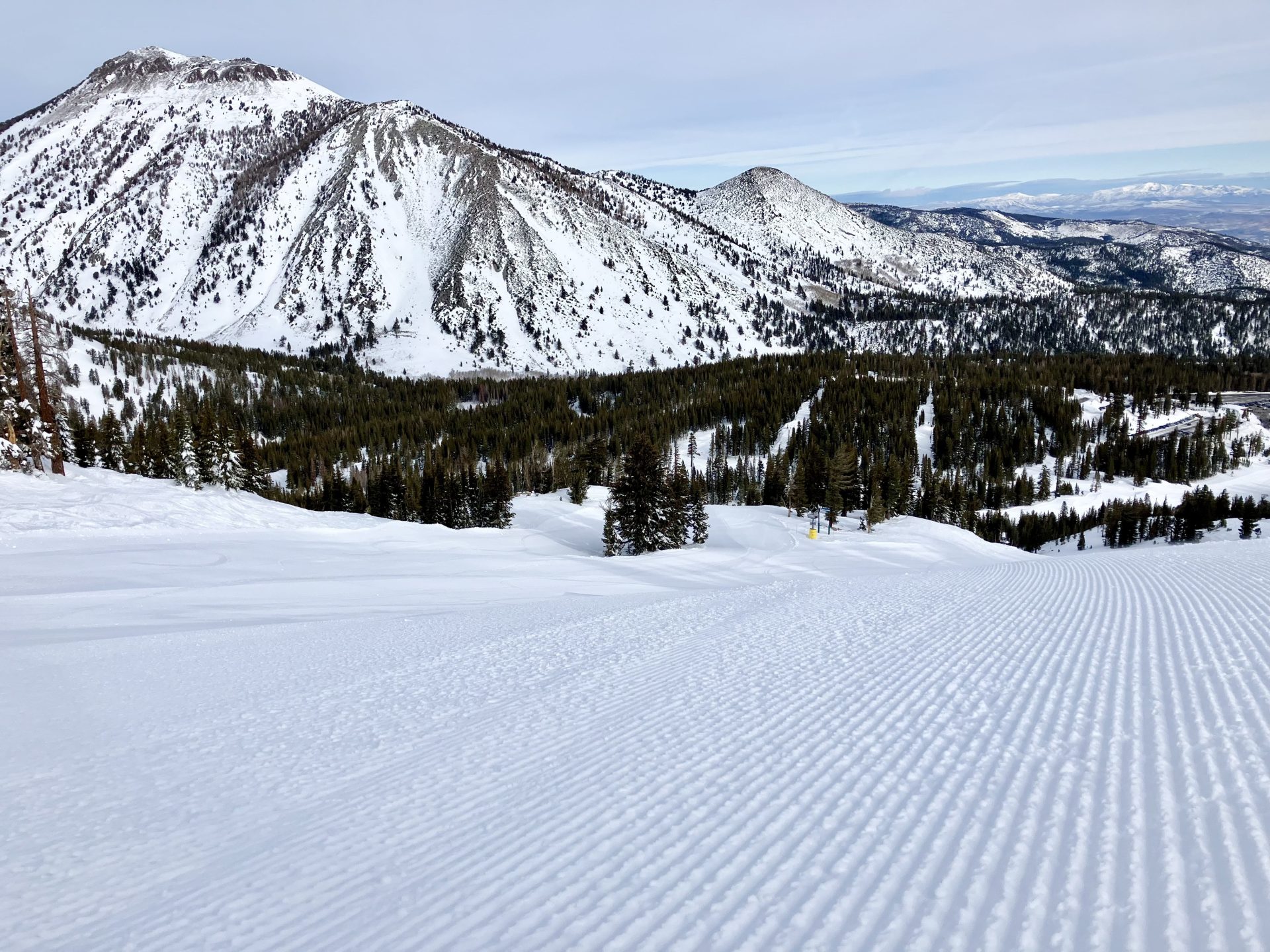 Fresh corduroy. PC: Claire Weiss