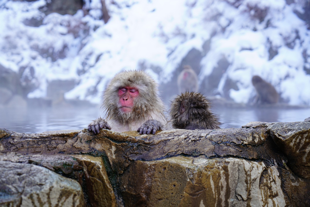 japan onsen