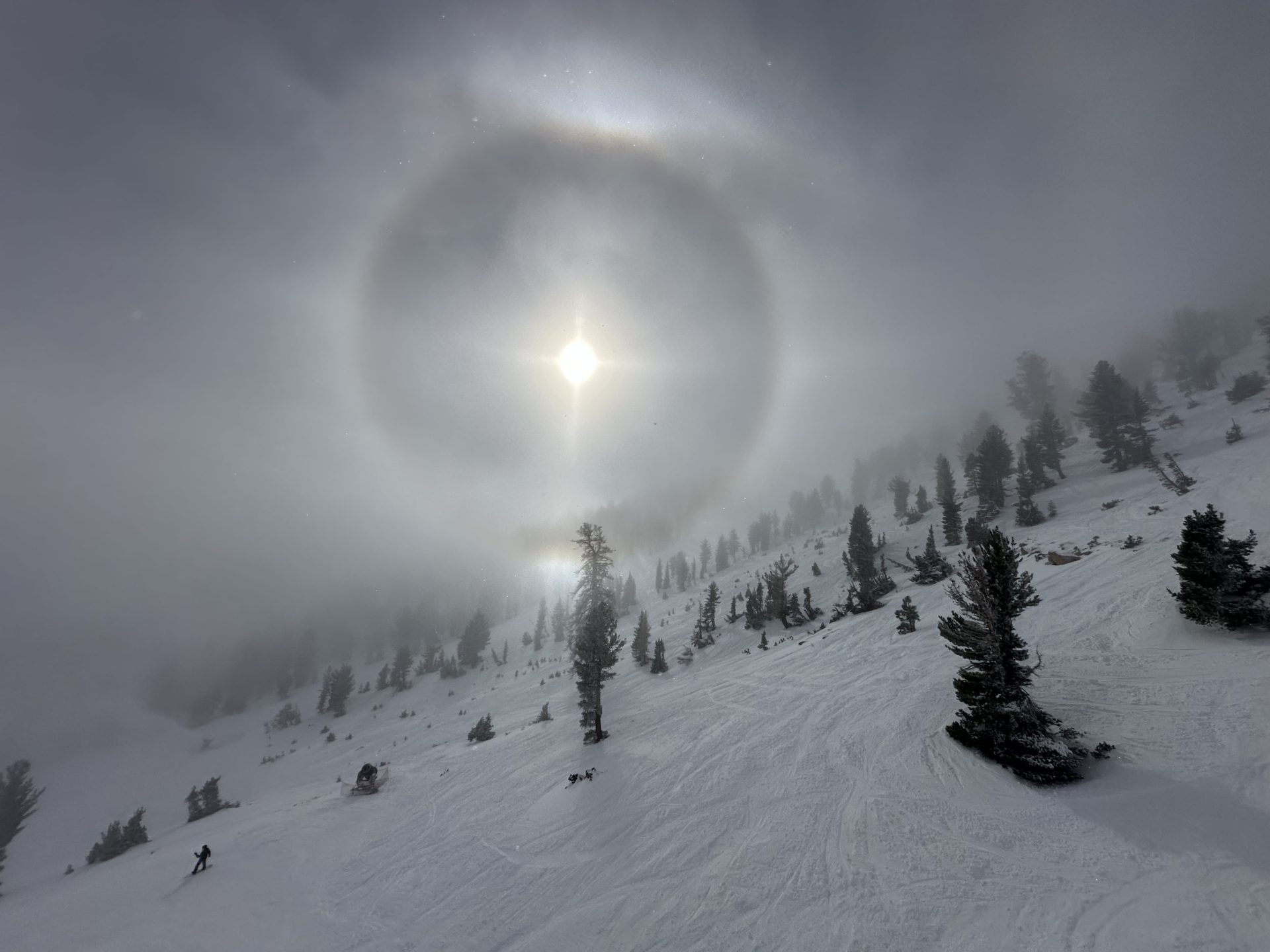Sundog at Mt Rose. PC: Claire Weiss