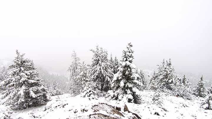 Rare summer snow for Banff Sunshine Village. | Photo: Banff Sunshine Village 