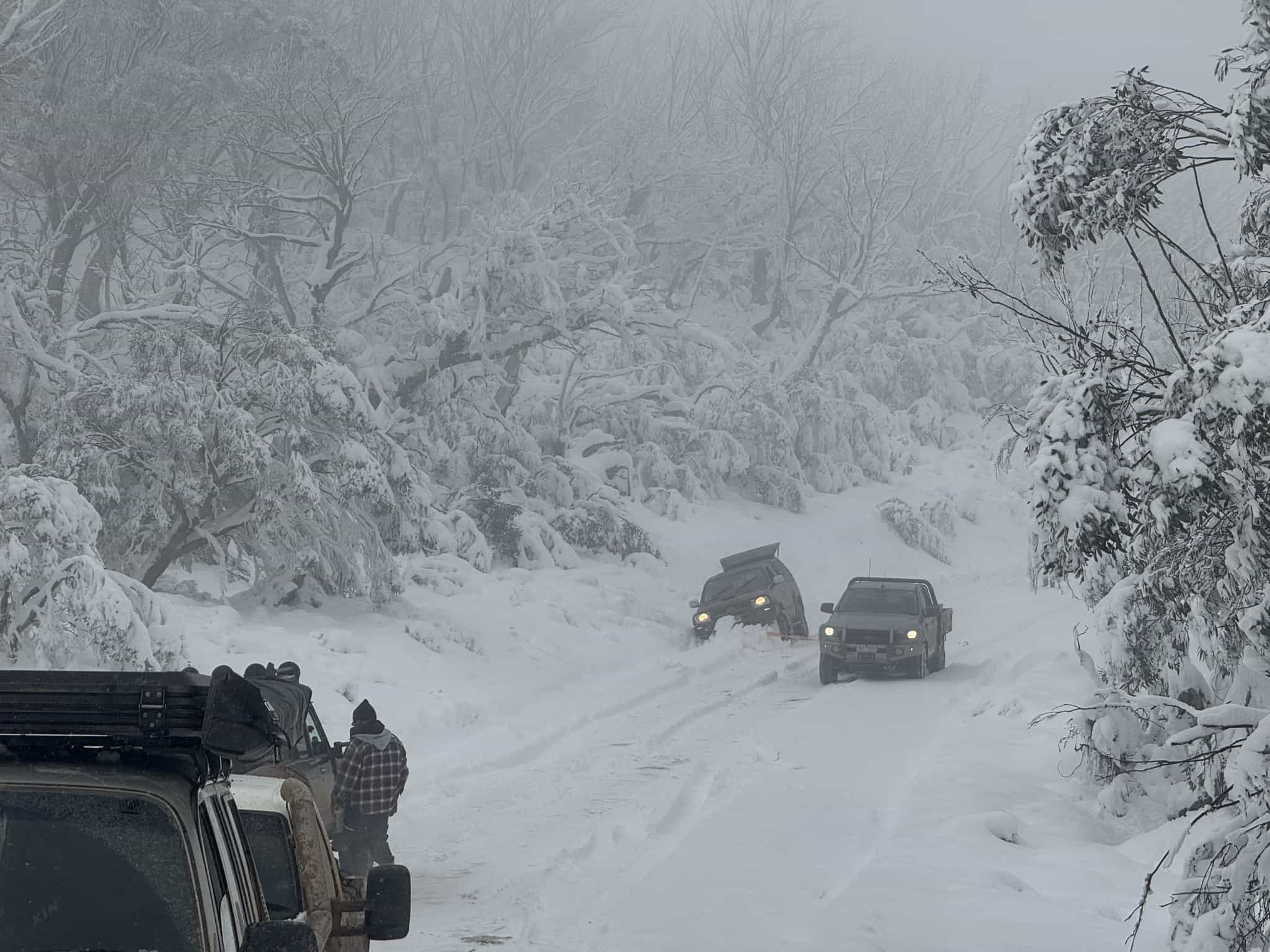 Cars stranded on Mount Hotham, Australia. | Photo: Victoria State Emergency Service