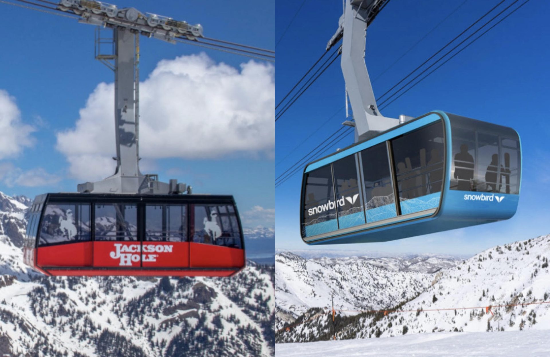 jackson snowbird