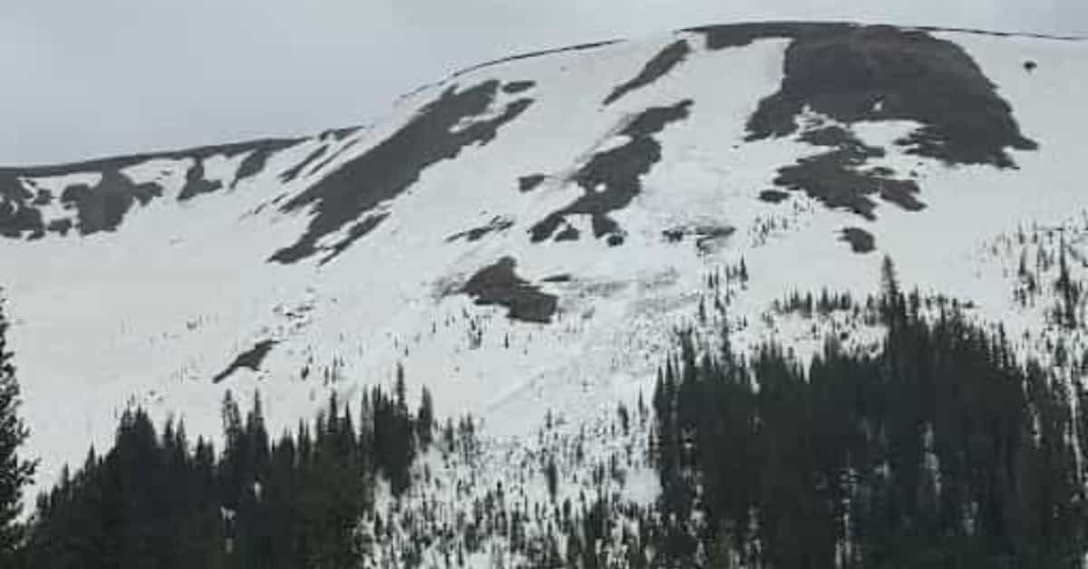 Skier triggered wet slab avalanche on Independence Pass, June 1, 2025. | Photo: CAIC